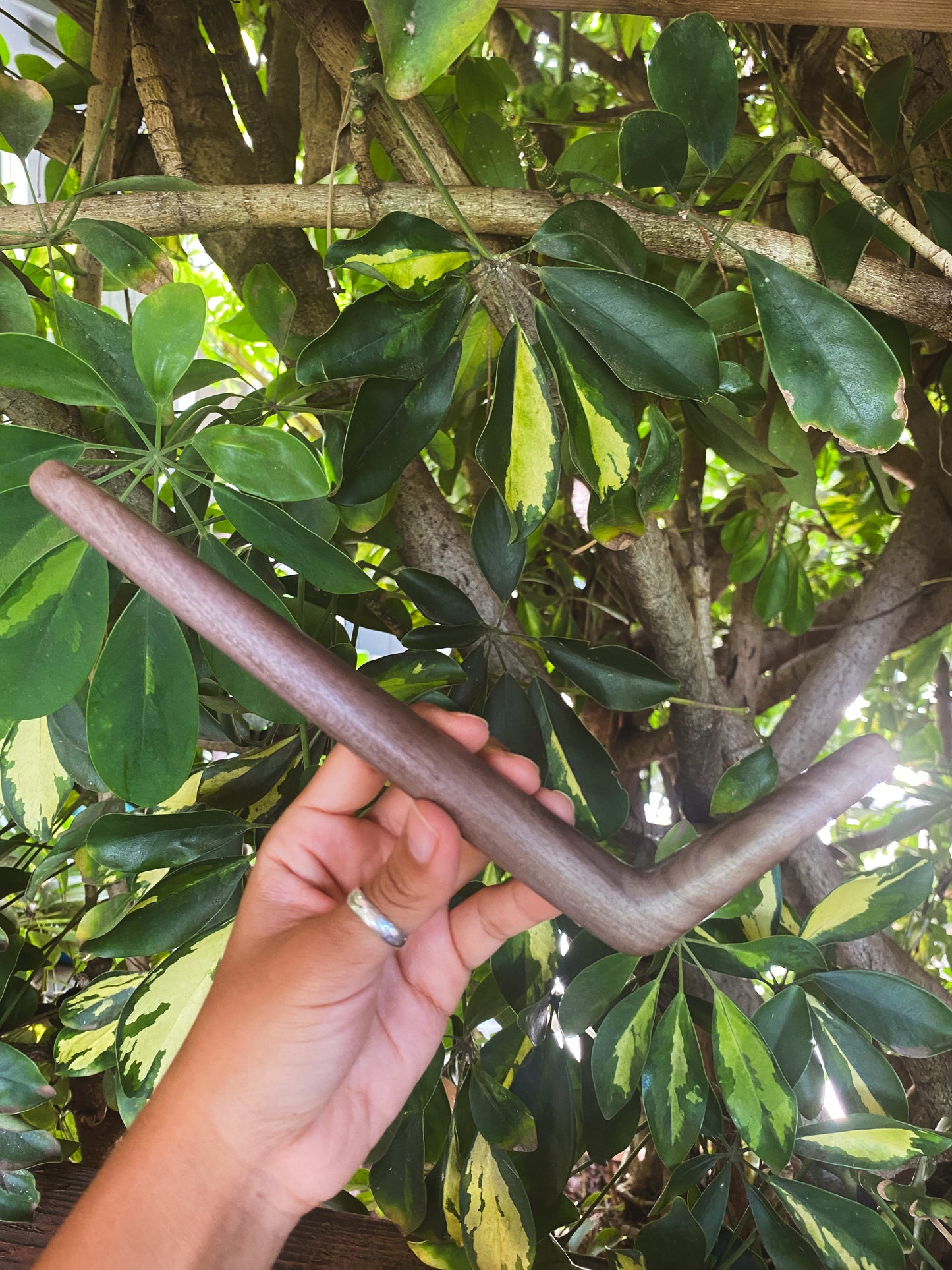 Dark Waru Wood Tepi