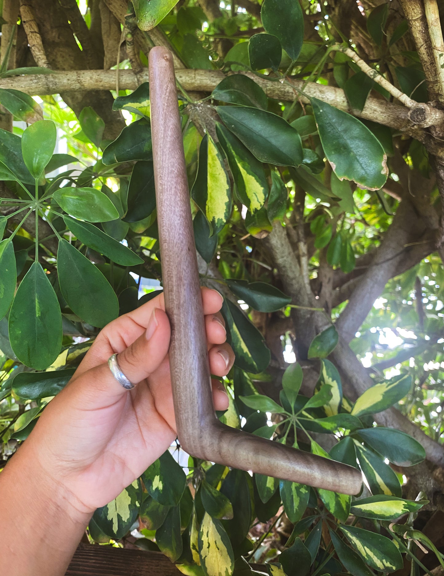 Dark Waru Wood Tepi