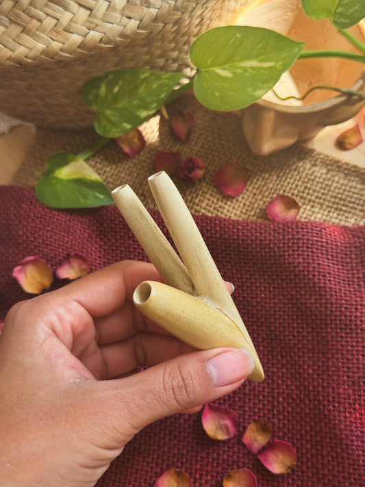 Crocodile Wood Double Nostril Kuripe