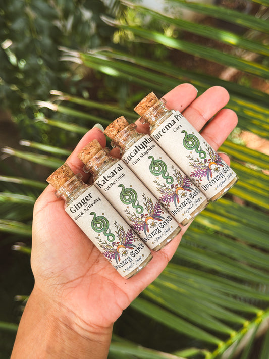 Canela de Velho: Sweet Harmony