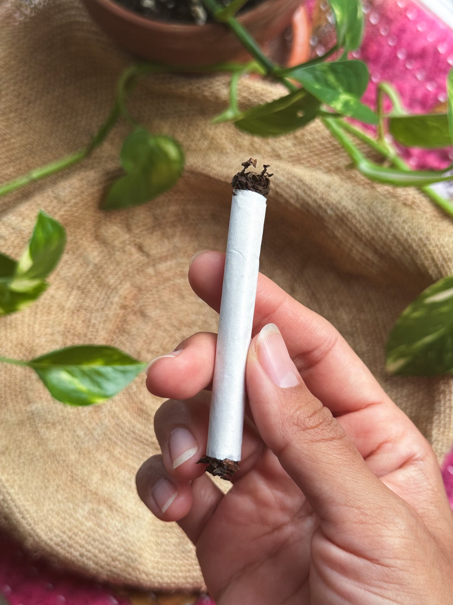 ⊹ RETURN TO YIN ⊹ Ceremonial Mist + Mapacho Stick