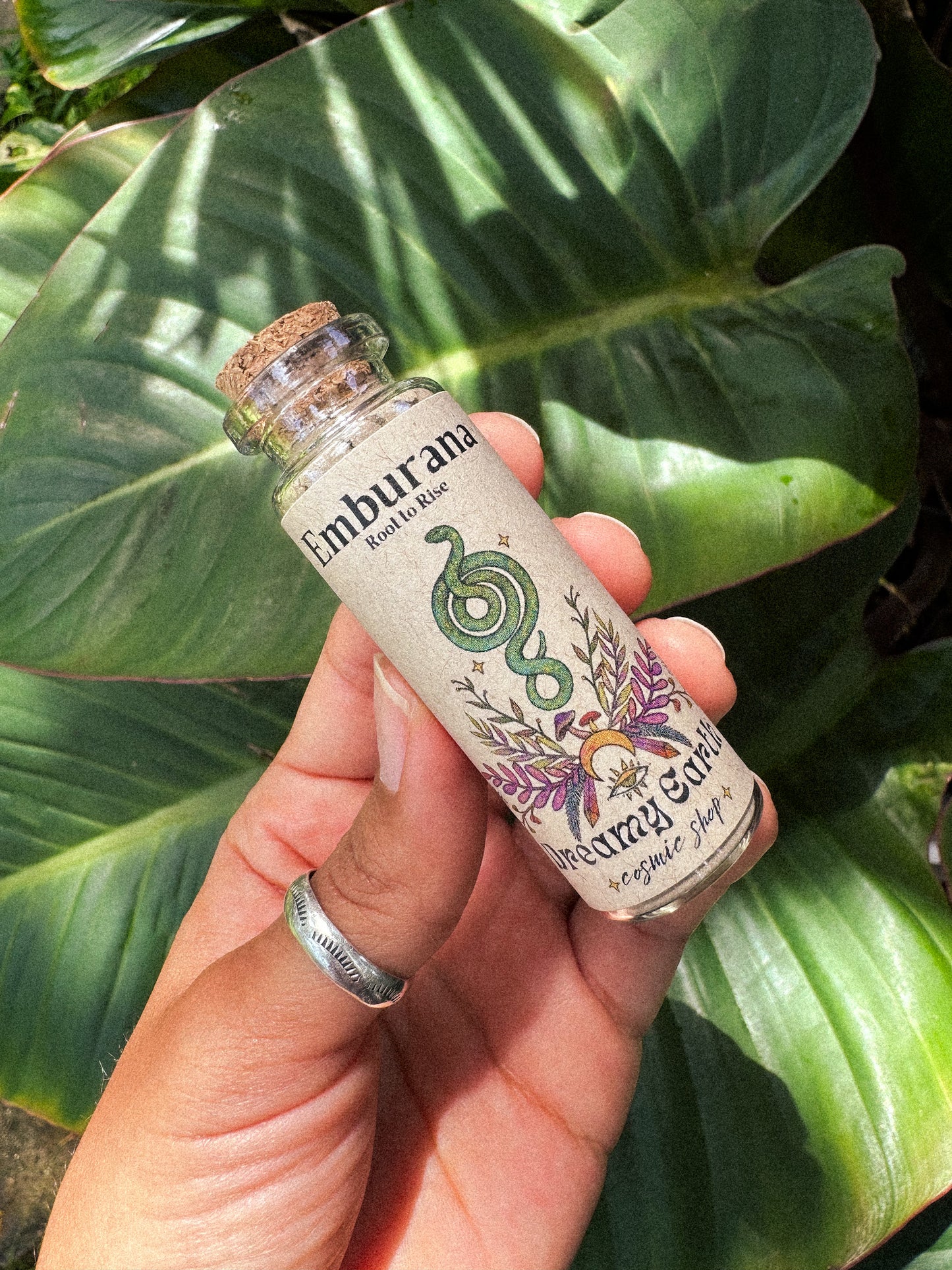 Emburana: Root to Rise