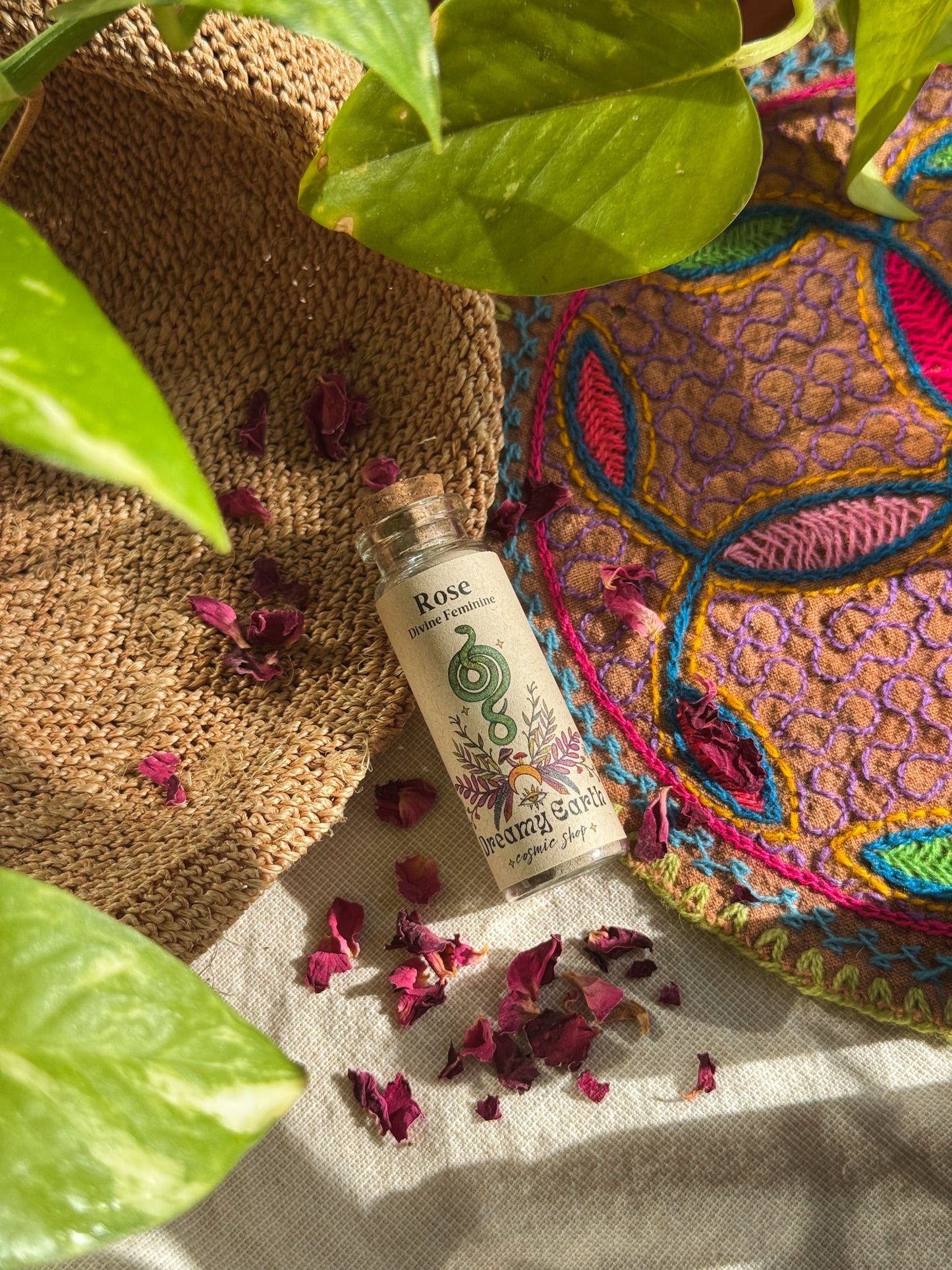 Rose: Divine Feminine