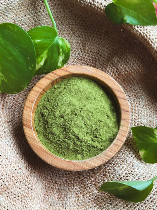 Apurinã: Gentle Waters *SEASONAL*