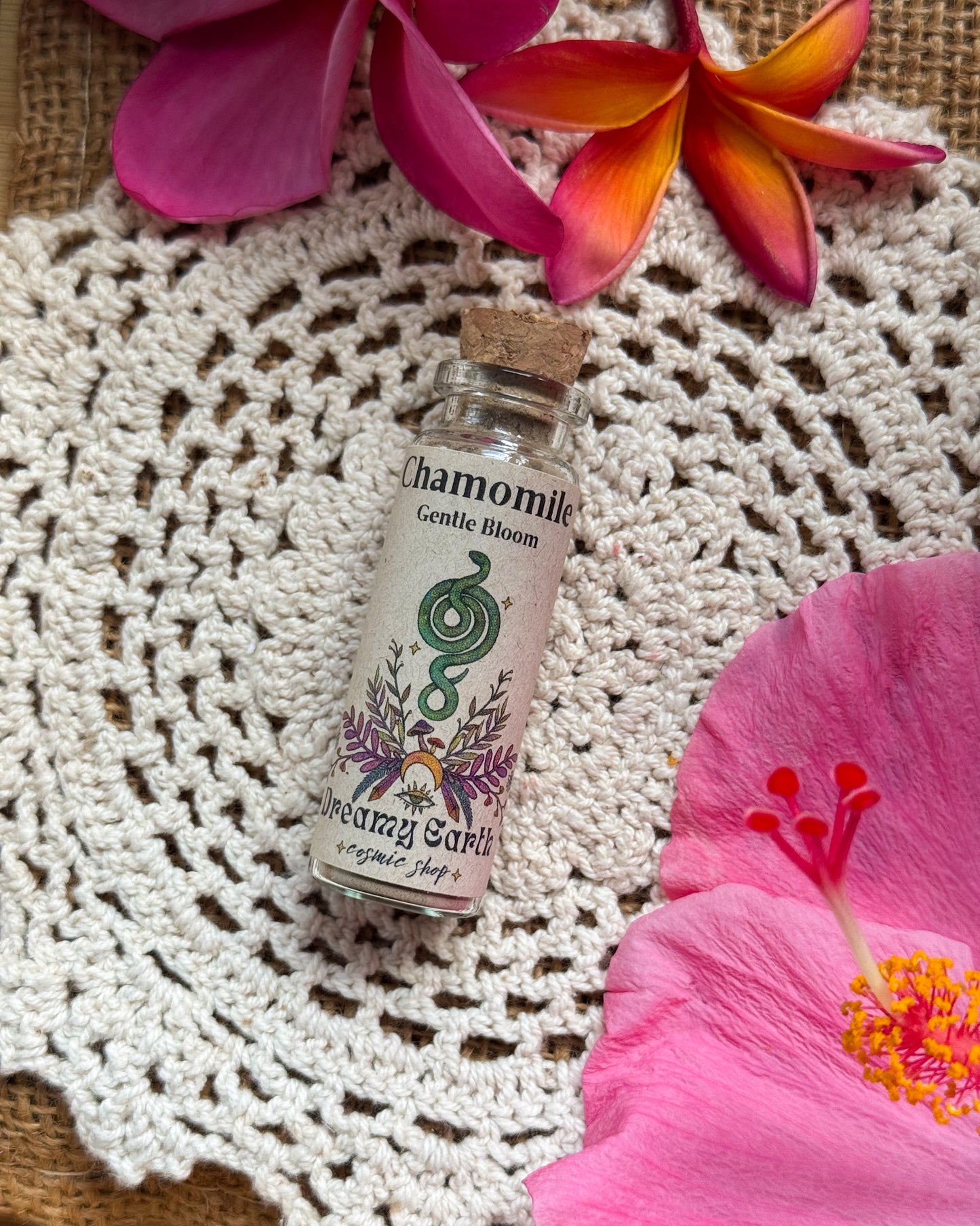 Chamomile: Gentle Bloom