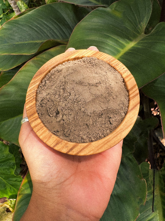 Paricá: Journey Deep Within