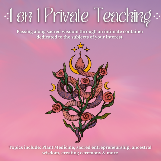 1 on 1 Private Teaching