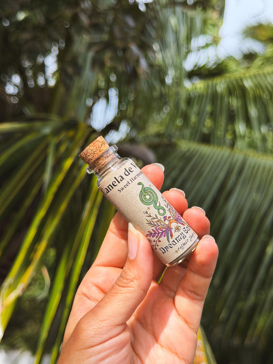 Canela de Velho: Sweet Harmony
