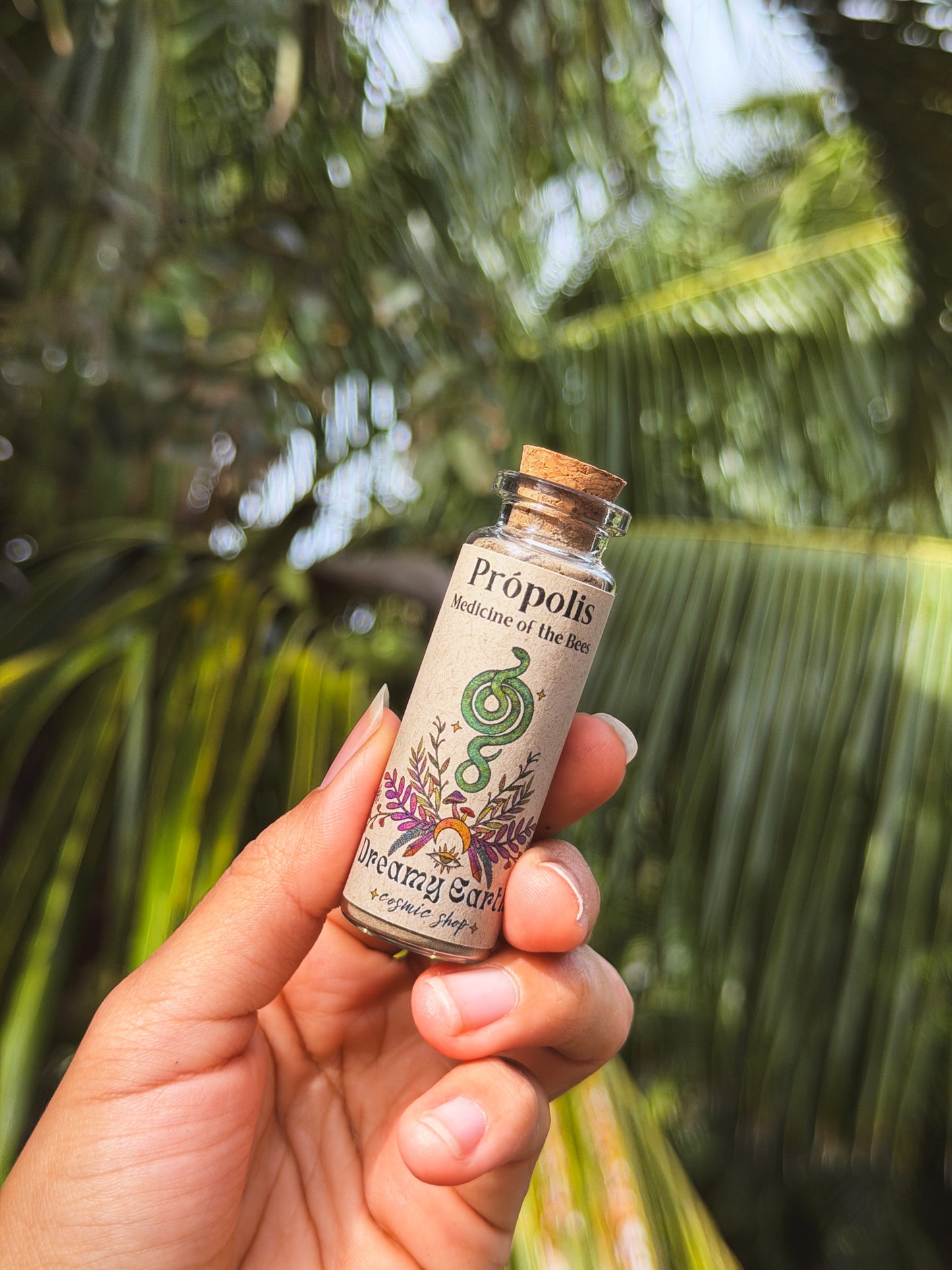 Própolis: Medicine of the Bees