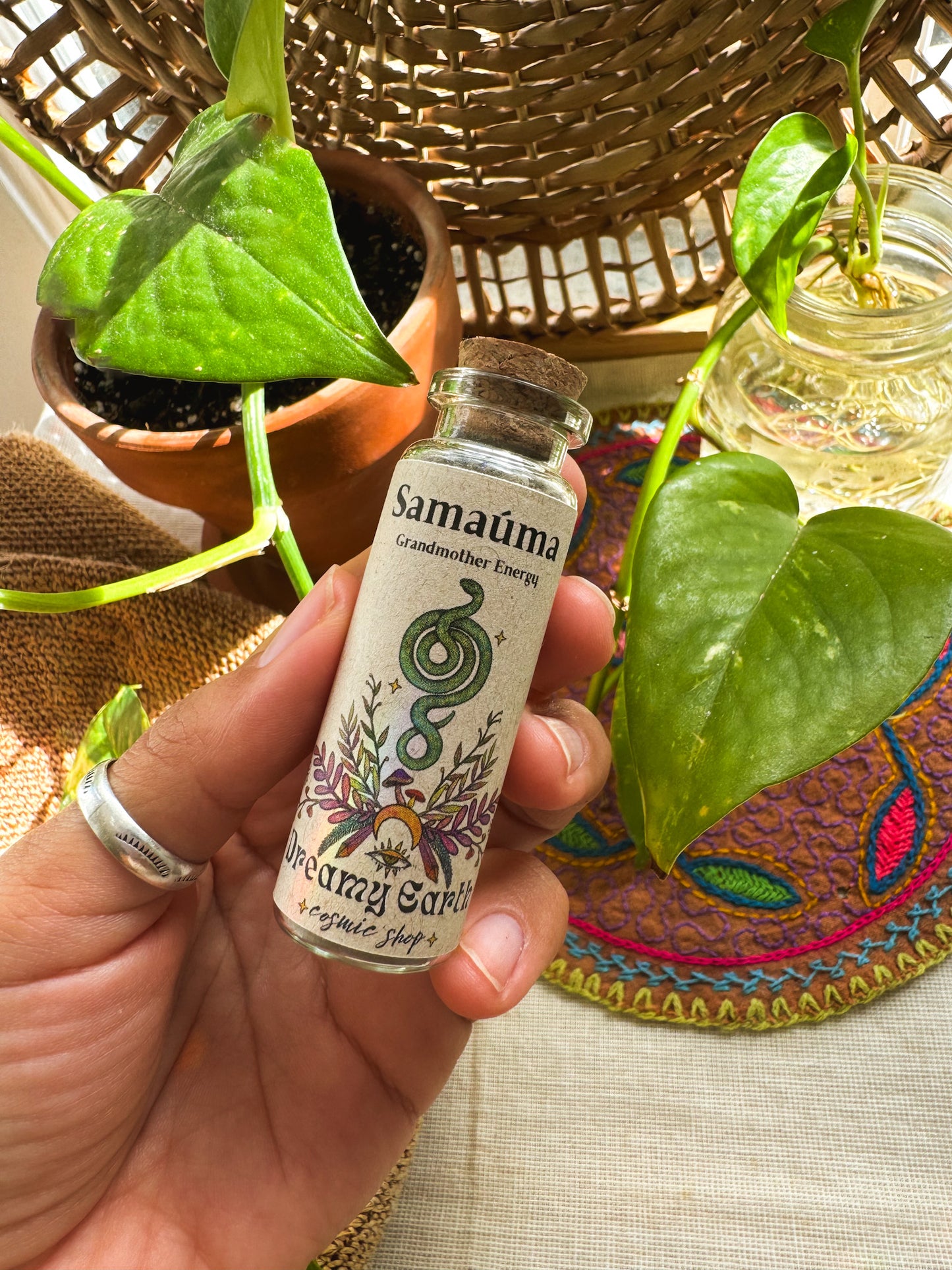 Samaúma: Grandmother Energy