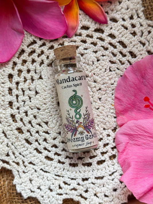 Mandacaru: Cactus Spirit