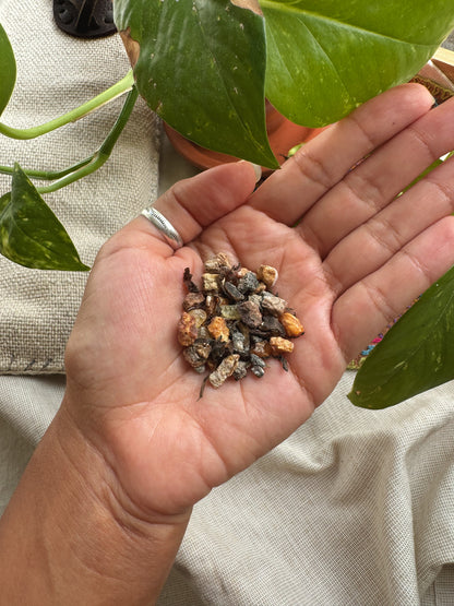 ༶ SMOKE OF THE GODS ༶ Ceremonial Resin Incense Blend